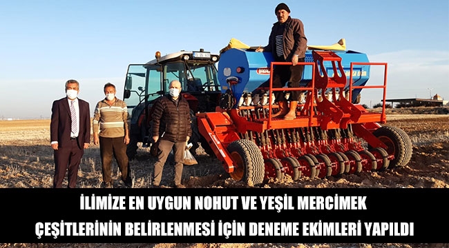 İLİMİZE EN UYGUN NOHUT VE YEŞİL MERCİMEK ÇEŞİTLERİNİN BELİRLENMESİ İÇİN DENEME EKİMLERİ YAPILDI