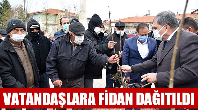 VATANDAŞLARA FİDAN DAĞITILDI