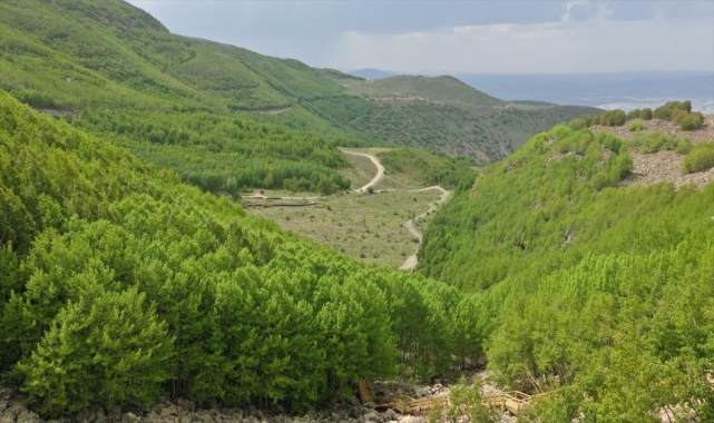 Hacılar Ortaseki bölgesi doğaseverleri bekliyor