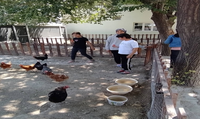 Karapınar'da öğrenciler sebze hasadı yaptı