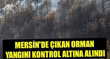 MERSİN'DE ÇIKAN ORMAN YANGINI KONTROL ALTINA ALINDI