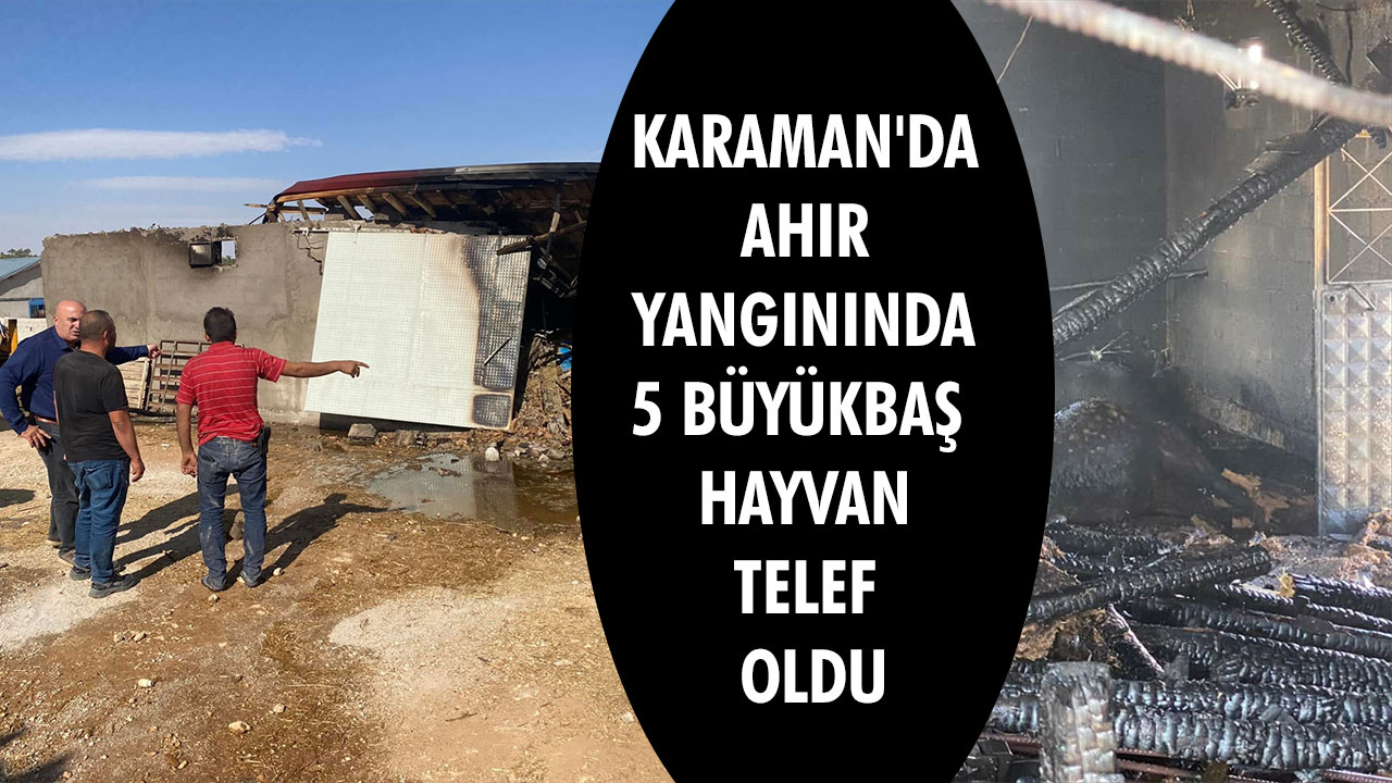KARAMAN'DA AHIR YANGININDA 5 BÜYÜKBAŞ HAYVAN TELEF OLDU
