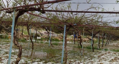 Mersin'de dolu tarım alanlarına zarar verdi