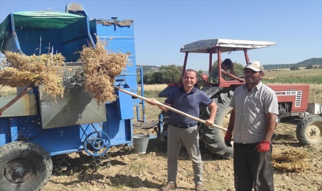 Mersin'de nohut hasadı başladı