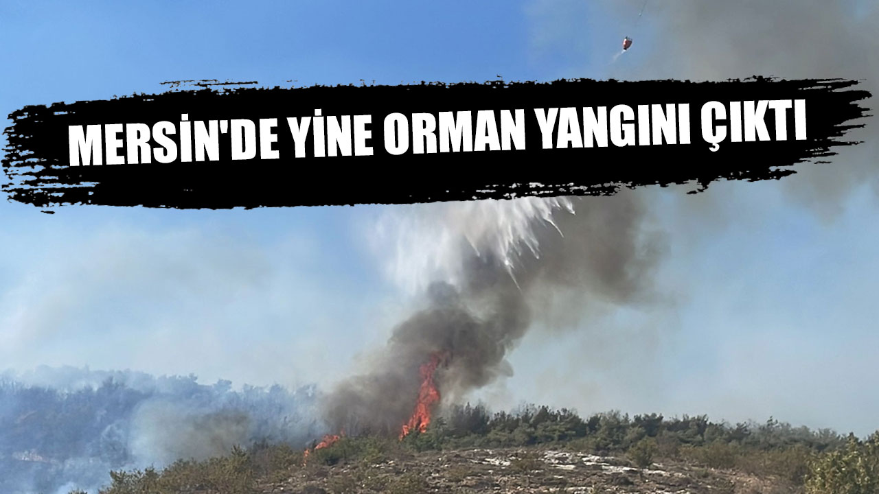 MERSİN'DE YİNE ORMAN YANGINI ÇIKTI