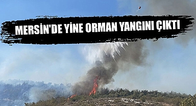 MERSİN'DE YİNE ORMAN YANGINI ÇIKTI