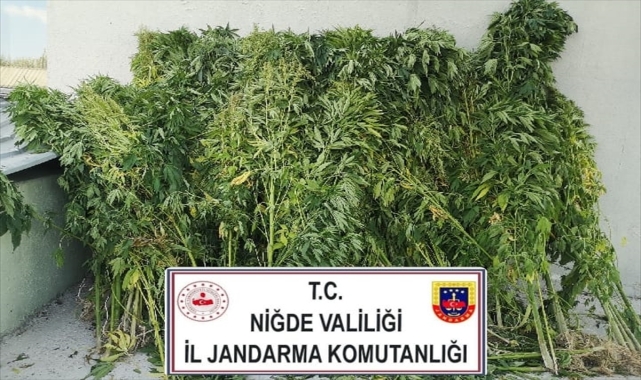 Niğde'de uyuşturucu operasyonunda bir zanlı yakalandı
