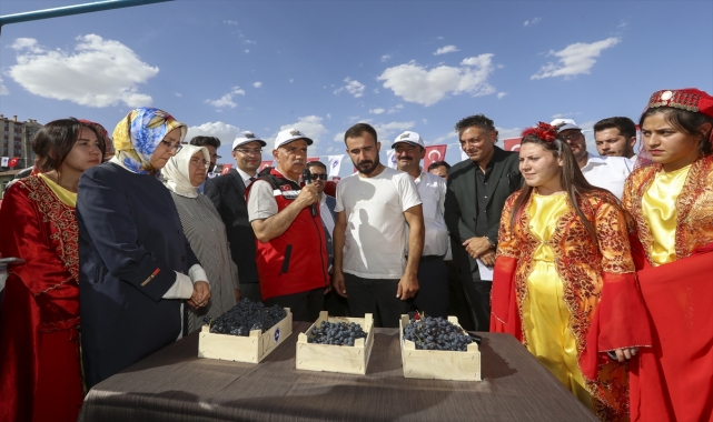 Tarım ve Orman Bakanı Kirişci Kalecik Karası Üzüm Festivali'ne katıldı