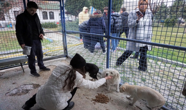 Beypazarı'nda öğrenciler Sokak Hayvanları Geçici Bakım Merkezini ziyaret etti