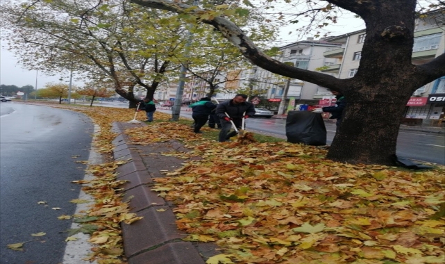 Kayseri'de dökülen ağaç yaprakları gübreye dönüştürülüyor