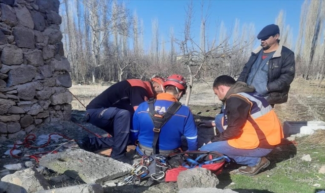 Aksaray'da kuyuya düşen köpek yavrularını AFAD ekipleri kurtardı