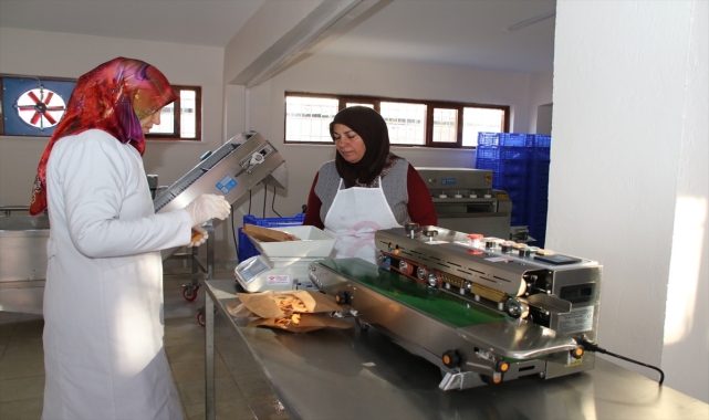 Akşehir'de meyve kurutma tesisi kuruldu