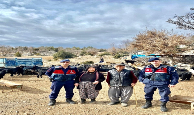Mersin'de kaybolan küçükbaş hayvanları jandarma buldu