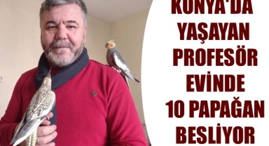 KONYA'DA YAŞAYAN PROFESÖR EVİNDE 10 PAPAĞAN BESLİYOR