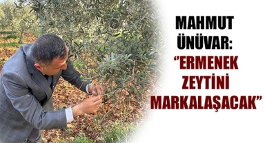 MAHMUT ÜNÜVAR: ‘’ERMENEK ZEYTİNİ MARKALAŞACAK’’