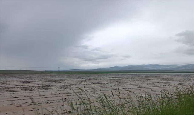 Niğde'de sağanak ve dolu tarım arazilerine zarar verdi