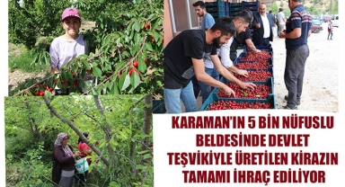 KARAMAN'IN 5 BİN NÜFUSLU BELDESİNDE DEVLET TEŞVİKİYLE ÜRETİLEN KİRAZIN TAMAMI İHRAÇ EDİLİYOR