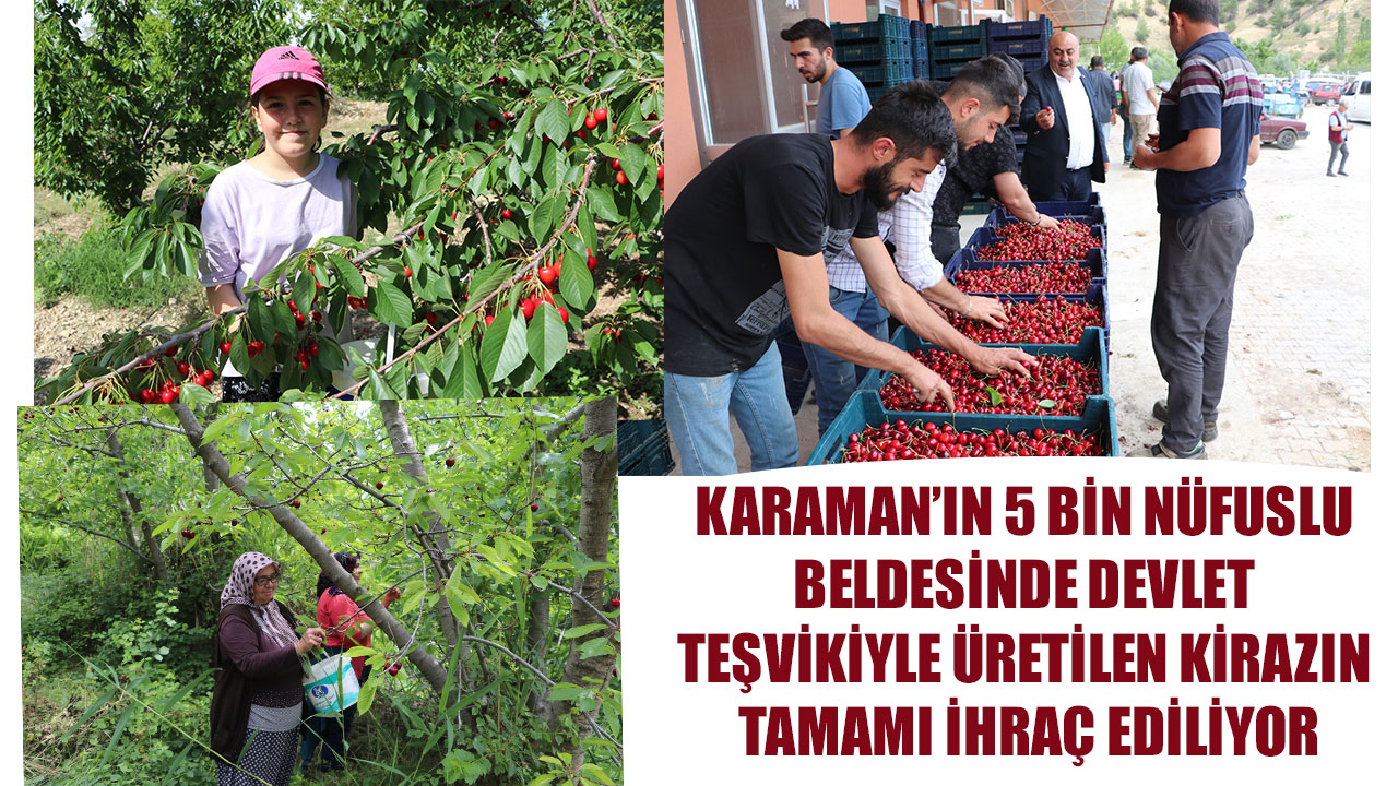 KARAMAN'IN 5 BİN NÜFUSLU BELDESİNDE DEVLET TEŞVİKİYLE ÜRETİLEN KİRAZIN TAMAMI İHRAÇ EDİLİYOR