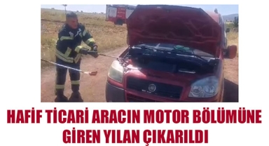 HAFİF TİCARİ ARACIN MOTOR BÖLÜMÜNE GİREN YILAN ÇIKARILDI