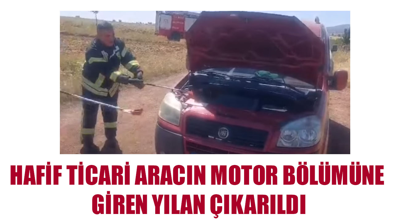 HAFİF TİCARİ ARACIN MOTOR BÖLÜMÜNE GİREN YILAN ÇIKARILDI