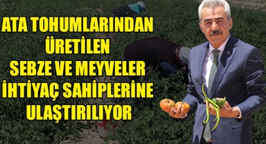 ATA TOHUMLARINDAN ÜRETİLEN SEBZE VE MEYVELER İHTİYAÇ SAHİPLERİNE ULAŞTIRILIYOR
