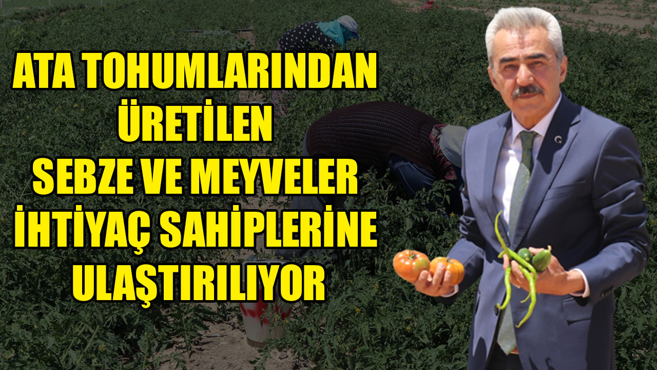 ATA TOHUMLARINDAN ÜRETİLEN SEBZE VE MEYVELER İHTİYAÇ SAHİPLERİNE ULAŞTIRILIYOR