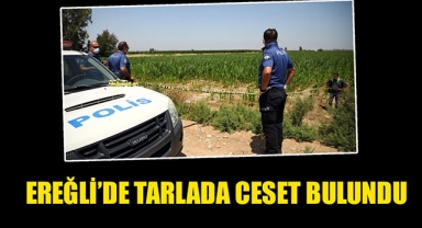 EREĞLİ’DE TARLADA CESET BULUNDU