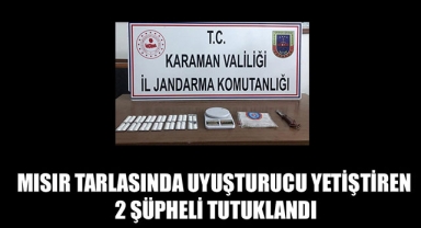 MISIR TARLASINDA UYUŞTURUCU YETİŞTİREN 2 ŞÜPHELİ TUTUKLANDI