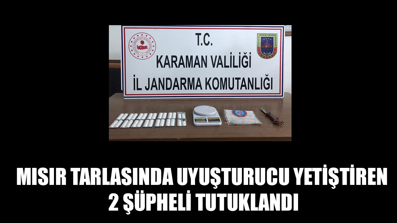 MISIR TARLASINDA UYUŞTURUCU YETİŞTİREN 2 ŞÜPHELİ TUTUKLANDI