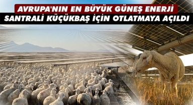 AVRUPA'NIN EN BÜYÜK GÜNEŞ ENERJİ SANTRALİ KÜÇÜKBAŞ İÇİN OTLATMAYA AÇILDI