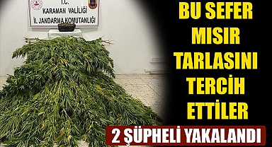 BU SEFER MISIR TARLASINI TERCİH ETTİLER