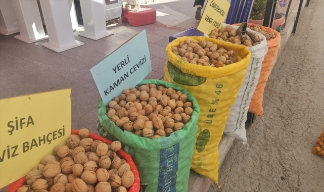 Kaman Ceviz Kültür ve Sanat Festivali başlıyor