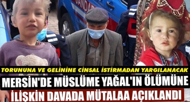TORUNUNA VE GELİNİNE CİNSAL İSTİRMADAN YARGILANACAK