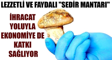 LEZZETLİ VE FAYDALI 