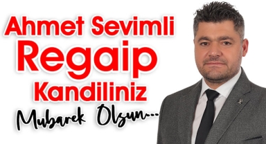 Ahmet Sevimli: 