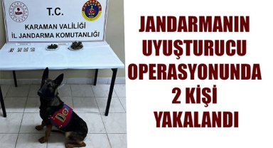JANDARMANIN UYUŞTURUCU OPERASYONUNDA 2 KİŞİ YAKALANDI
