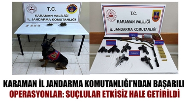 KARAMAN İL JANDARMA KOMUTANLIĞI'NDAN BAŞARILI OPERASYONLAR: SUÇLULAR ETKİSİZ HALE GETİRİLDİ