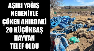 AŞIRI YAĞIŞ NEDENİYLE ÇÖKEN AHIRDAKİ 20 KÜÇÜKBAŞ HAYVAN TELEF OLDU