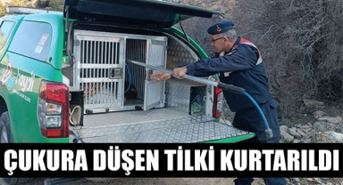 ÇUKURA DÜŞEN TİLKİ KURTARILDI