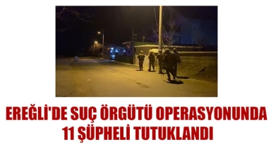 EREĞLİ'DE SUÇ ÖRGÜTÜ OPERASYONUNDA 11 ŞÜPHELİ TUTUKLANDI