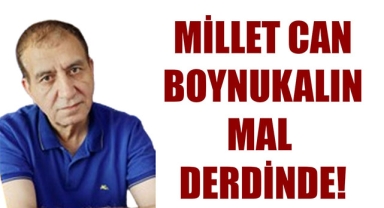 MİLLET CAN BOYNUKALIN MAL DERDİNDE!