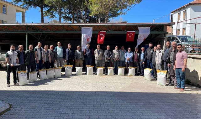 Beyşehir'de yağlık ayçiçeği tohumu dağıtıldı