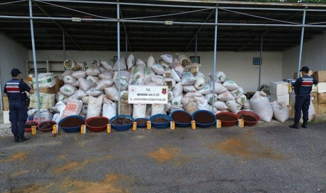 Mersin'de 10 ton kaçak tütün ele geçirildi
