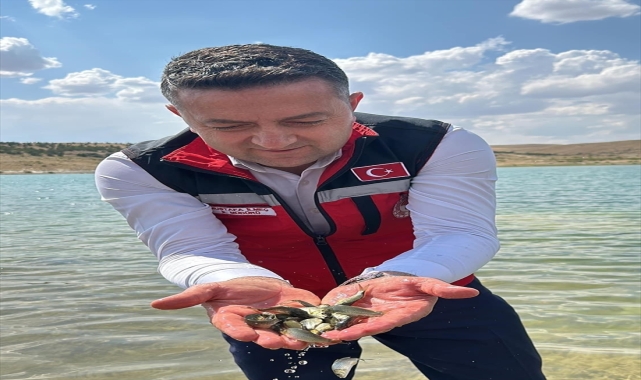 Kırşehir'de göletlere 1 milyon 394 bin sazan yavrusu bırakıldı