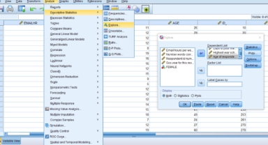 SPSS Analizi Ne İşe Yarar?
