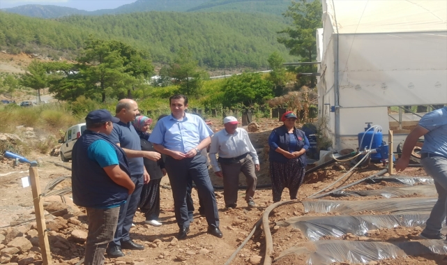 Bozyazı Kaymakamı Tuncay Topsakaloğlu'ndan çilek üreticisine ziyaret