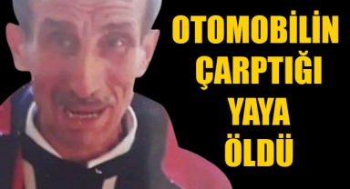 OTOMOBİLİN ÇARPTIĞI YAYA ÖLDÜ