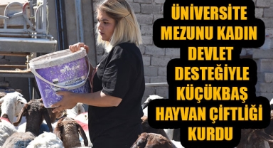 ÜNİVERSİTE MEZUNU KADIN DEVLET DESTEĞİYLE KÜÇÜKBAŞ HAYVAN ÇİFTLİĞİ KURDU