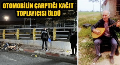 OTOMOBİLİN ÇARPTIĞI KAĞIT TOPLAYICISI ÖLDÜ
