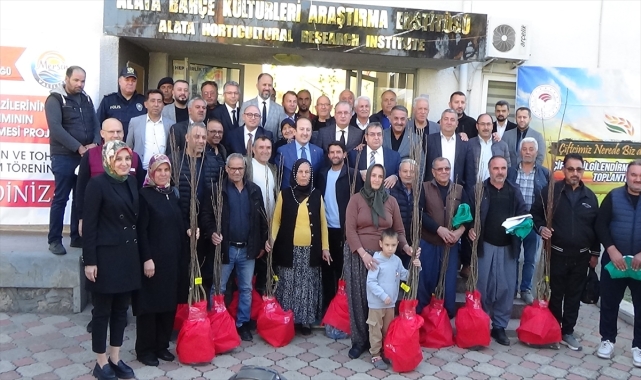 Mersin'de çiftçilere 1800 kestane fidanı dağıtıldı
